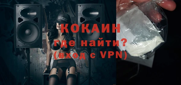 бошки Ладушкин
