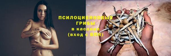 мяу мяу мука Лабытнанги