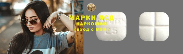 мяу мяу мука Лабытнанги