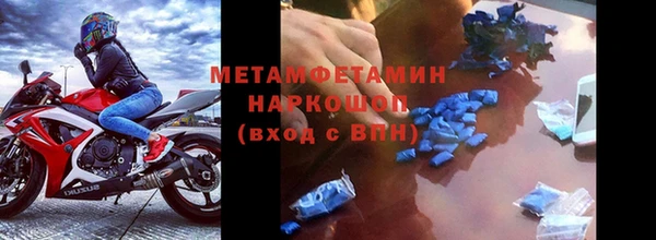 мяу мяу мука Лабытнанги
