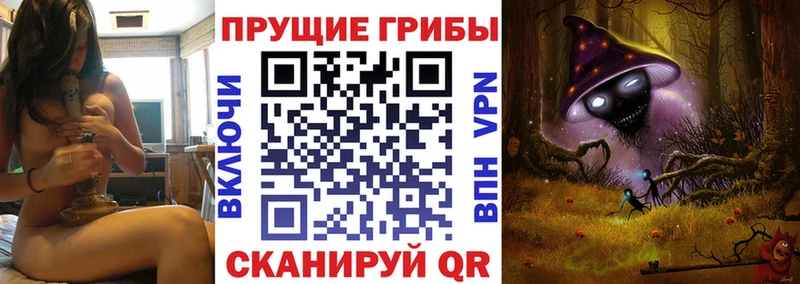 Галлюциногенные грибы мицелий  Спас-Клепики 